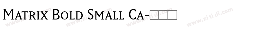 Matrix Bold Small Ca字体转换